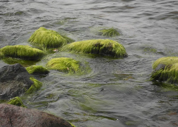 Louisa - 36 Apartment