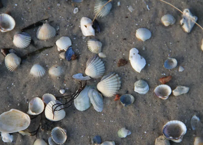 Apartment Louisa - 36